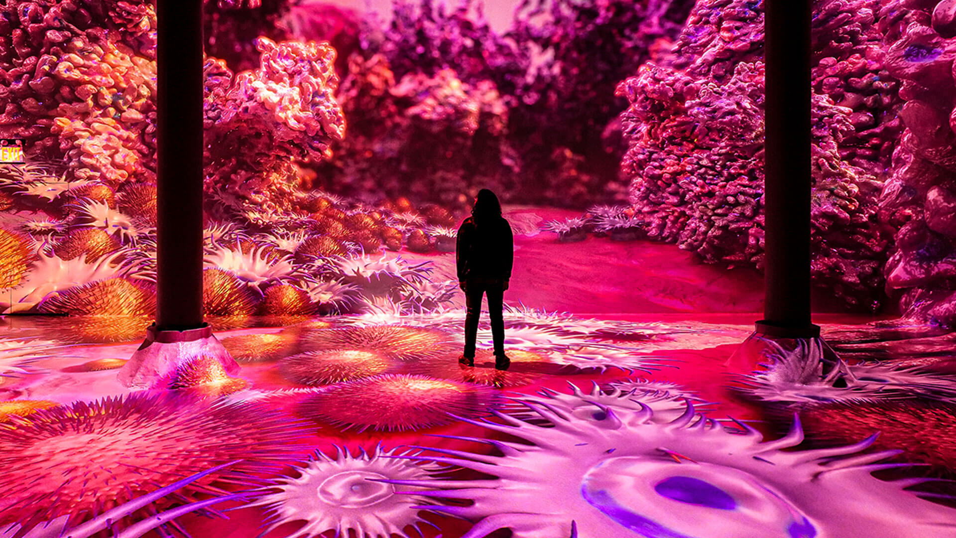 A person stands alone in a dark room filled with vibrant, colorful, and surreal projections of coral and sea anemone-like shapes covering the walls and floor, creating an immersive underwater environment.